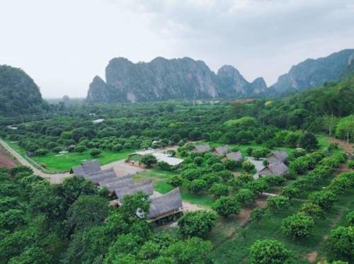 NUBDAO 168 Homestay