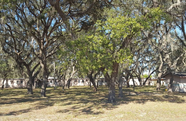 Oak Tree Inn