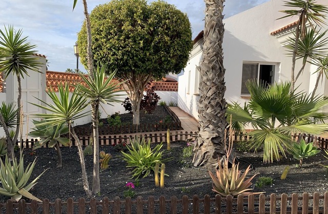 Ocean Vibes is spacious private villa with a large pool and beautiful gardens.