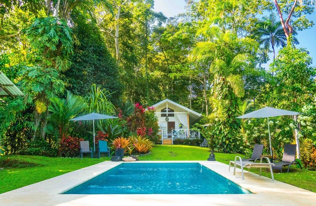 Ocean view luxury property, AC, pool in the jungle at short walk to the beach.