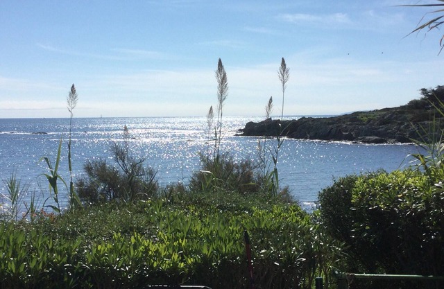 oceanfront paradise
