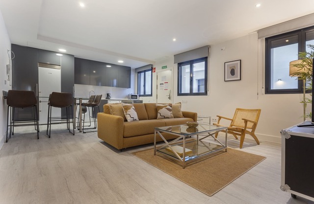 Olavide IX apartment in Madrid