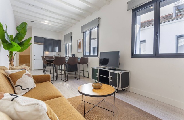Olavide XIV apartment in Madrid