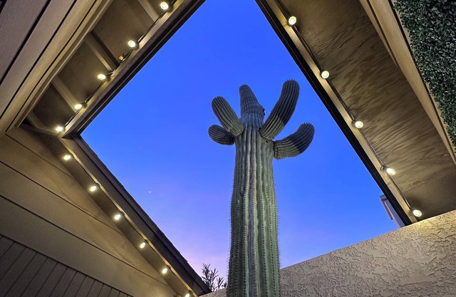 Old Town, Sun Devils, Tempe, Papago, Zoo, Cubs, Giants, WM Open, and more!