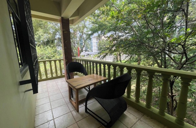 Olivia Guesthouse