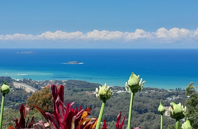 ON TOP OF THE WORLD Garden StudionPanoramic Ocean Views, Close to Town & Beaches