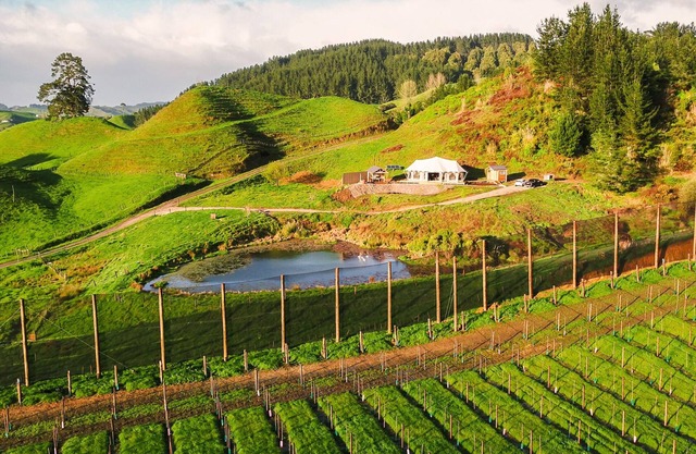 Orchard Valley, Waitomo Boutique Glamping