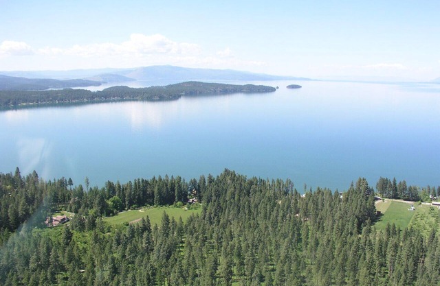 Orchards & old growth forest surround this Finley Point Home.