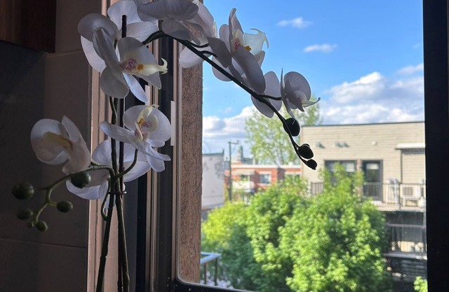 Orchid Lodgement Montreal