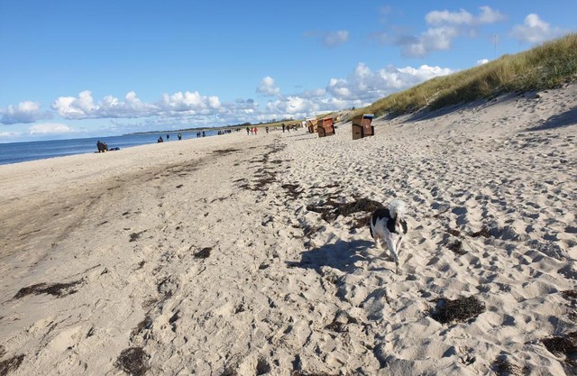 Ostsee, Strand & Me(e)hr erleben, Speziell für Familien, Fe/wo "Sunny" am Bodden/Fischland/Ribnitz