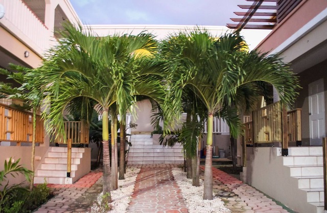 Palm Spring Inn