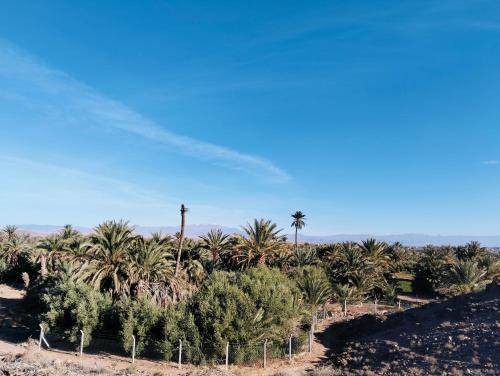 Palm View Palace
