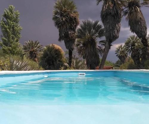 Palmares al cerro