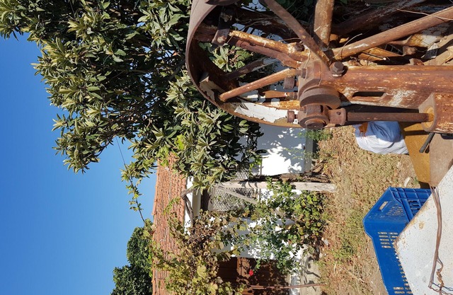 Panoramic nature dwellings with pine forest, olive valleys, sea and gre