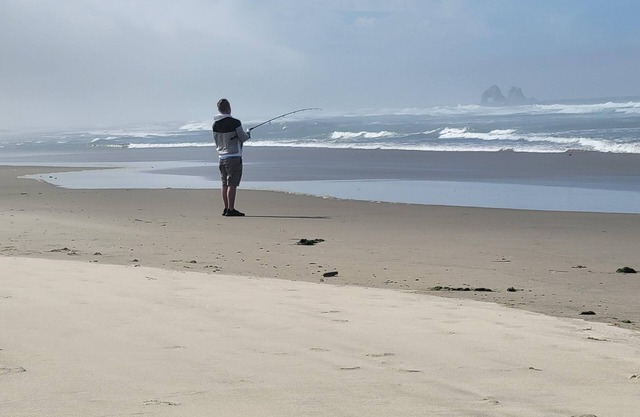 Panoramic Ocean Views! Large groups, pet friendly, game room.
