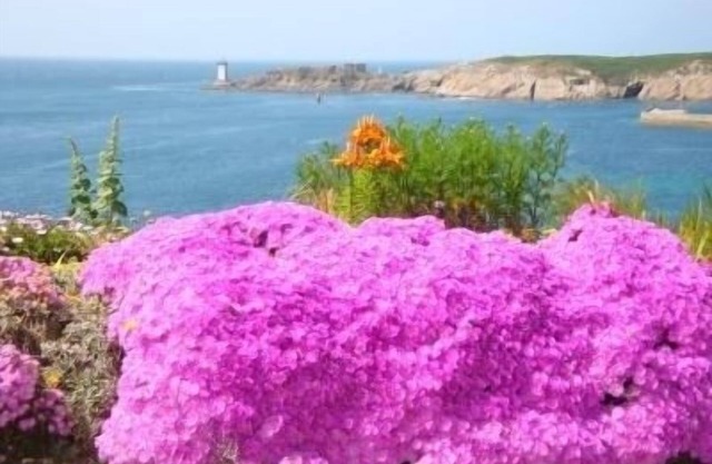 Panoramic view of the Iroise Sea, its lighthouses, its islands (Ouessant, Molène)