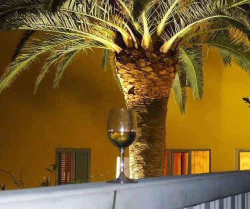Pansion Palme