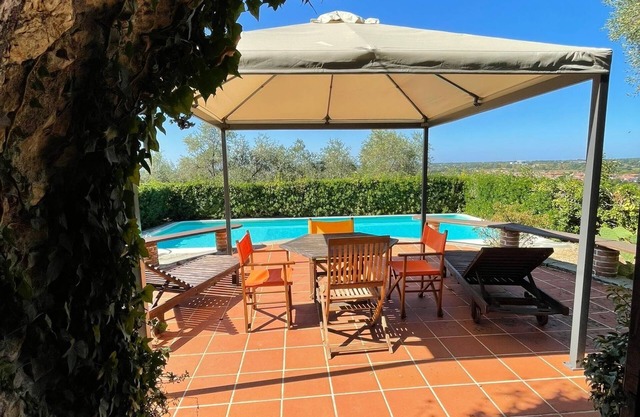 Paradise among olive trees with swimming pool