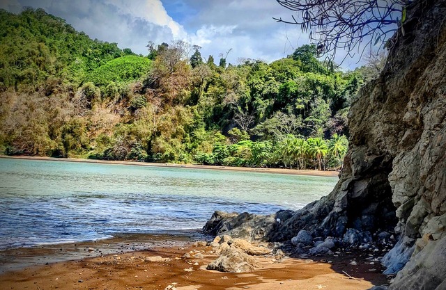 Paradise Found! Character filled close to beach, forest and amenities