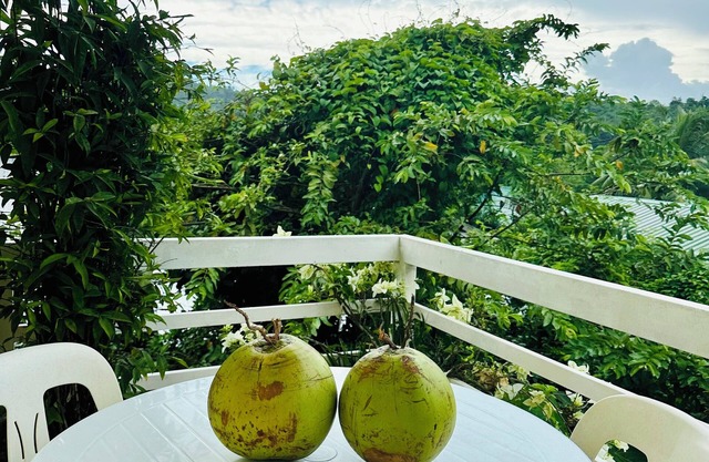 Paragua