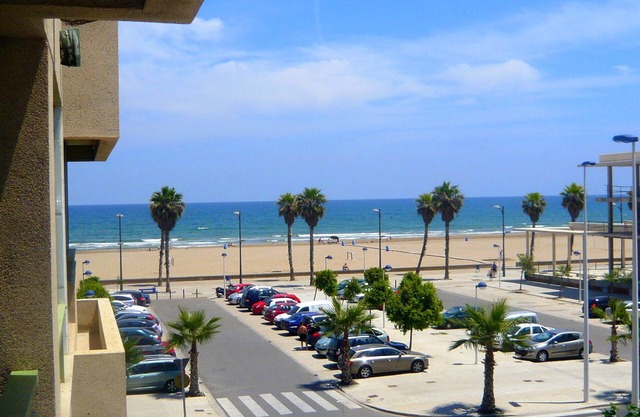 Patacona Green Holiday