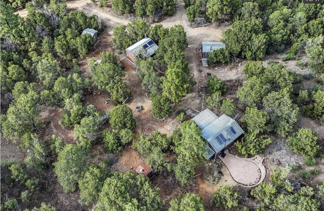 Peaceful and serine 3- cabins in the mountains of Sandia Park