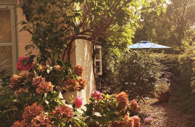 Peaceful getaway with riverside walks near Aylsham, Norfolk