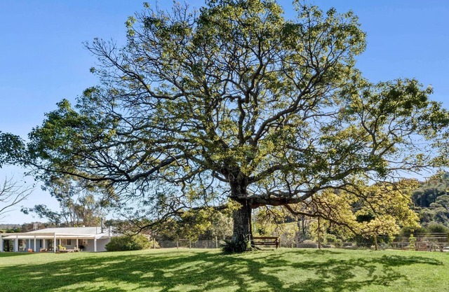 Peaceful pet friendly home on acres