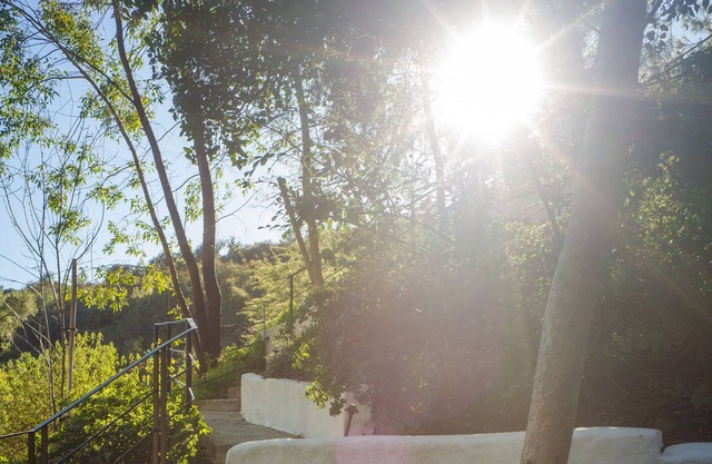 Peaceful Treehouse. Perched amongst the lush trees of Benedict Canyon.