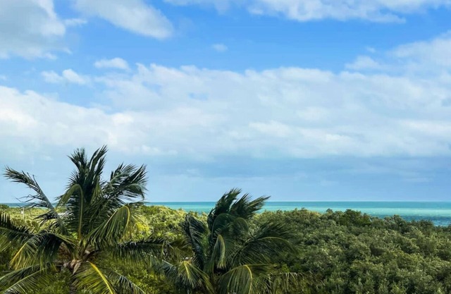Peekaboo View of Atlantic Ocean - Free Kayaks Pickleball