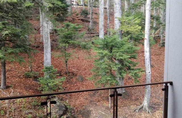 PENTHOUSE IN SINAIA, FURNICA, LANGA CASTELUL PELES SI TELEGONDOLA