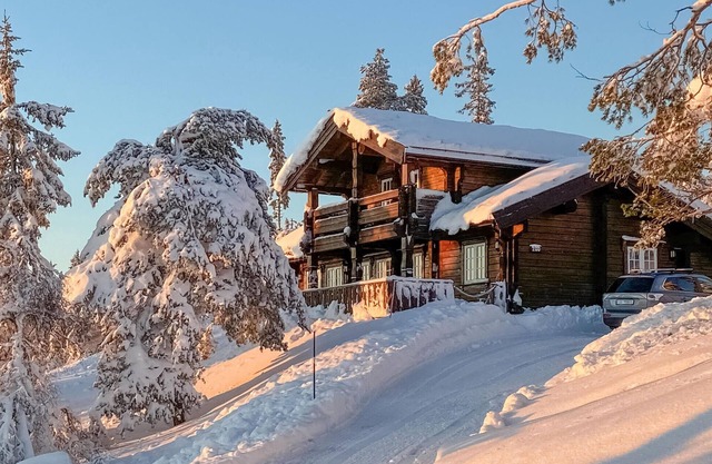 Pet friendly home in Nissedal with WiFi