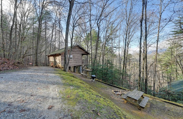 Pet-Friendly Smoky Mountain Cabin: Hunt & Fish!
