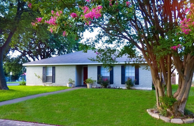 Petes place, nice comfortable relaxing with pool for your gateway to Austin
