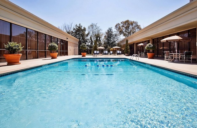 Pets are Allowed HERE! Outdoor Pool, Minutes From Delta Flight Museum