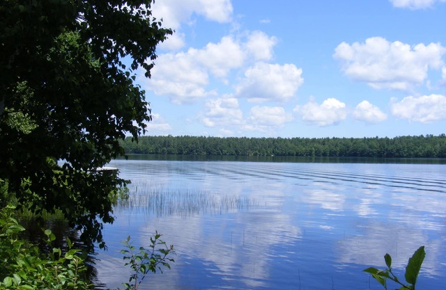 Pine Knoll Cottage - Scenic cottage on Pemaquid Lake