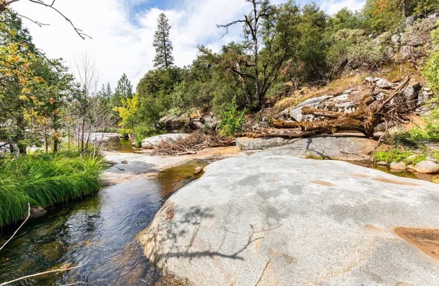 Ponderosa Creekside Retreat