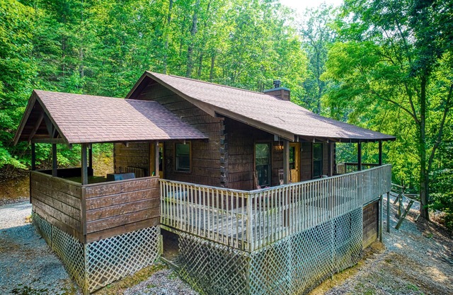 Pooh Bear, Hot Tub, WIFI, $685 FREE tickets each paid day!