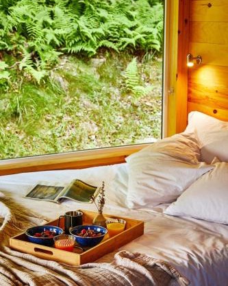 Postcard Cabins Western Catskills