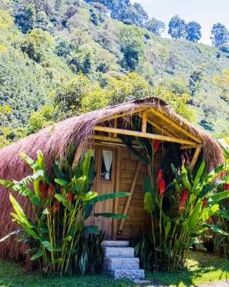 Pradera Ecoliving