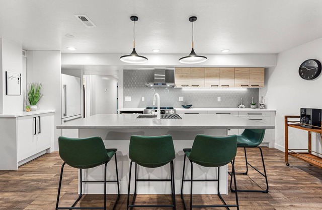 Private Basement Perfect For Concerts & Adventures