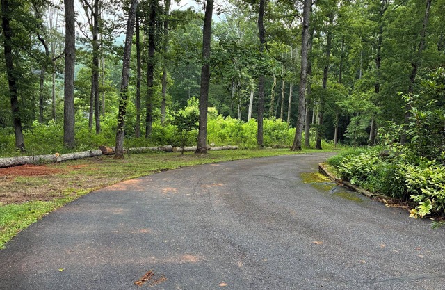 Private COMFY SECLUDED MOUNTAIN HOME surrounded by trees & views of nature.
