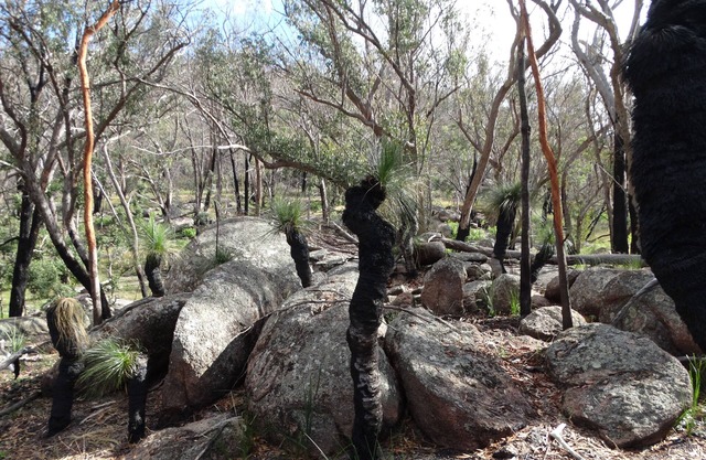 Private Nature Reserve