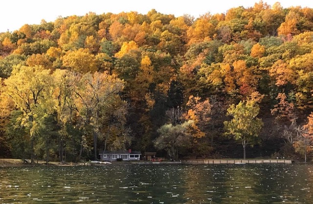 Private! Unique Lake Front Cottage. Heron Cove Sanctuary, Beauty & Peace!