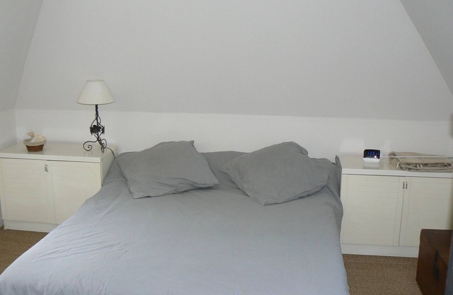 Propriété au calme : 2 maisons d'habitation 1 maison avec salle de cinéma & jeux