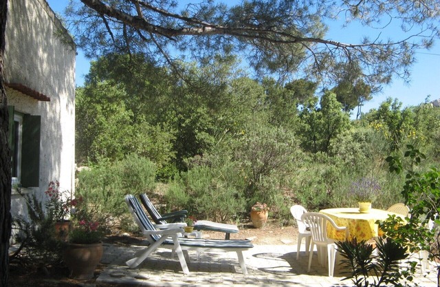 PROVENCE - CHARMING LITTLE HOUSE NESTED AMONG PINE TREES