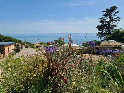 Puckaster Cove Cabin