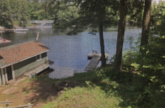 Quaint 2-bedroom cottage in Trent Lakes