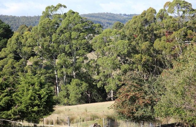 Quiet country area 5 mins from Devonport - central location