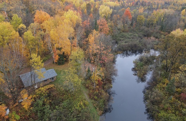 Quiet nature cabin on the beautiful Marengo River